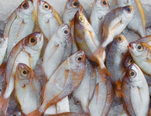 Balık Alerjisinde Moleküler Alerji Testi