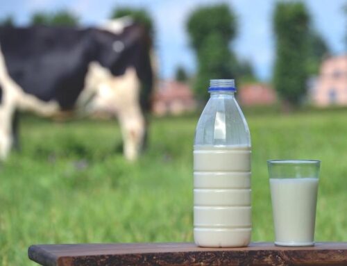 İnek sütü alerjilerinde aşı tedavisi (immünoterapi) nedir ve ne zaman yapılır?