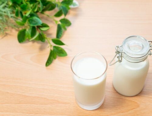 İnek sütü alerjisi düzelir mi?