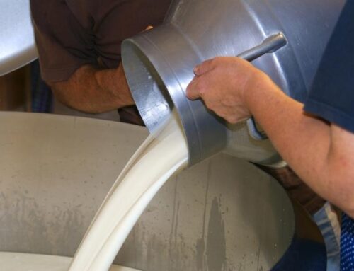 İnek sütü alerjisi tedavi edilmezse ne olur?