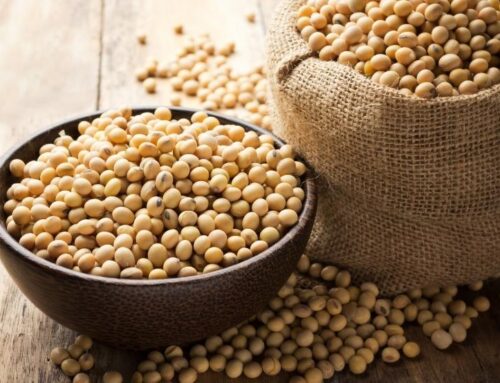 Soya Alerjisi Tedavisi Nasıl Yapılır?