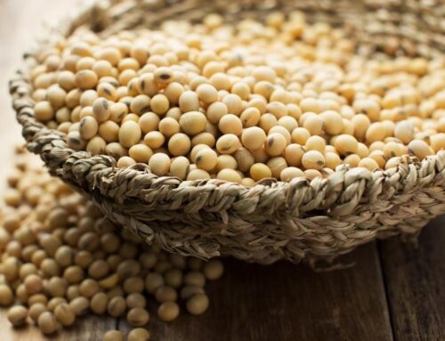 Soya Alerjisine Bağlı Ne Gibi Alerjik Reaksiyonlar Oluşur?