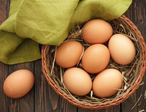 Yumurta Alerjisinde Hangi Aşıların Yapılmasında Sakınca Yoktur?