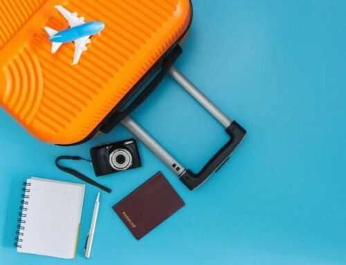 Seyahat Edenler İçin Alerji Rehberi