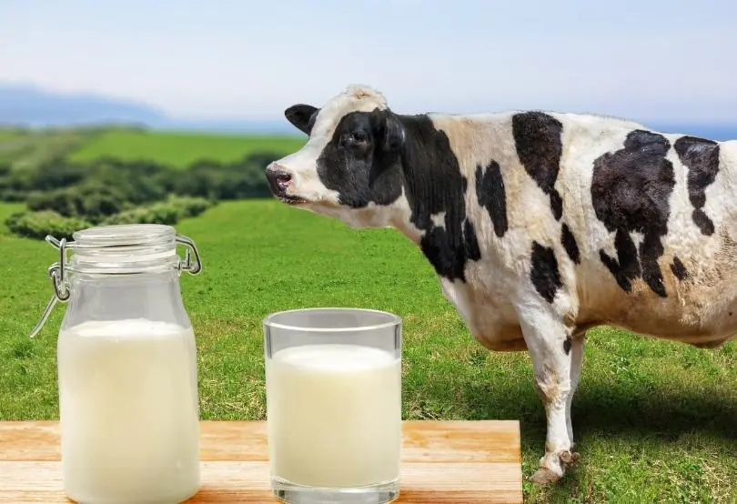 Bebeğimde inek sütü protein alerjisi belirtileri varsa hangi doktora götürmeliyim