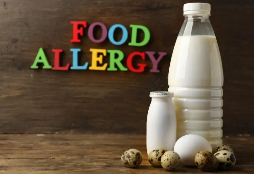 Besin alerjisi anne sütü alan bebeklerde neden görülüyor