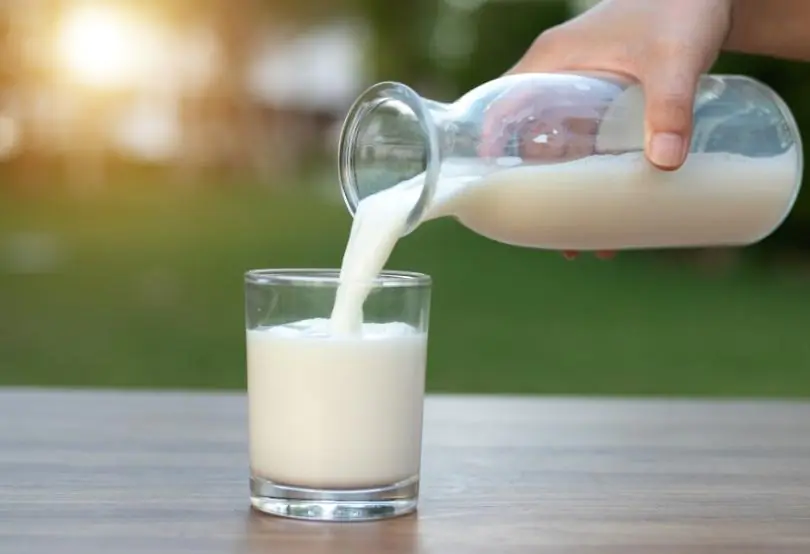 İnek Sütü Alerjisi Olan Bebeklere Eşek Sütü Verilir Mi