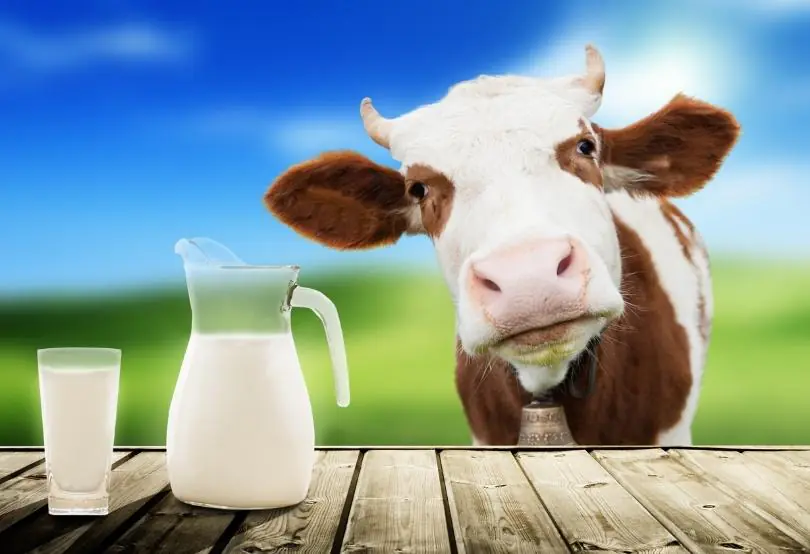 İnek sütü protein alerjisi olan bebeklerin hangi besinlerden kaçınması gerekir