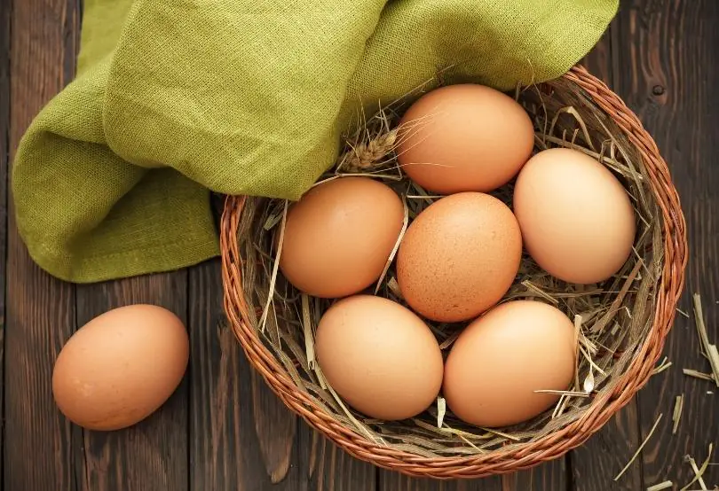 Yumurta Alerjisinde Hangi Aşıların Yapılmasında Sakınca Yoktur
